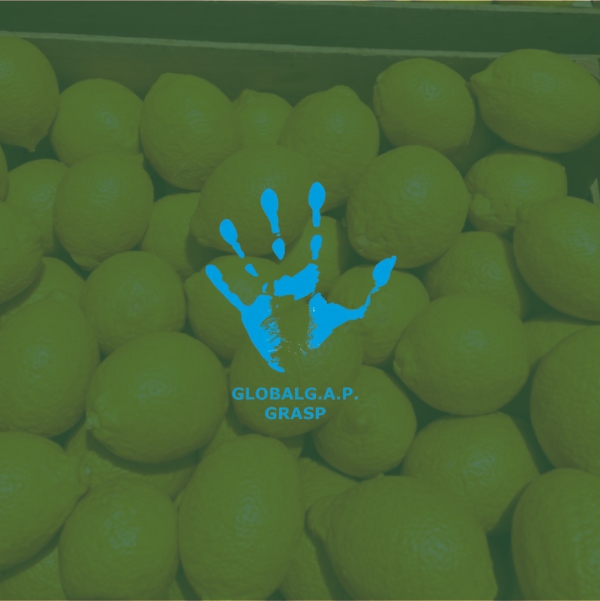 limones frescos